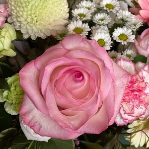 Meet your Posher, Natasha